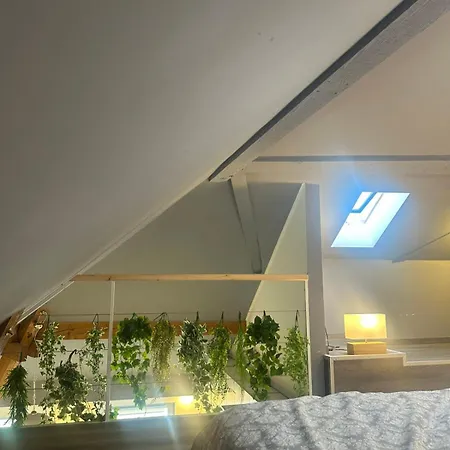 Iva Lux Appartement Belgrado